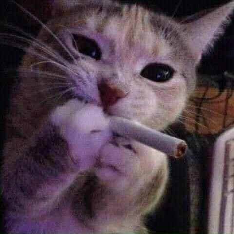 Marcekez
