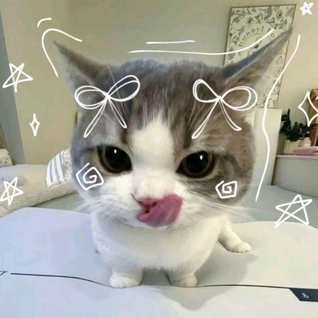 nevleran avatar