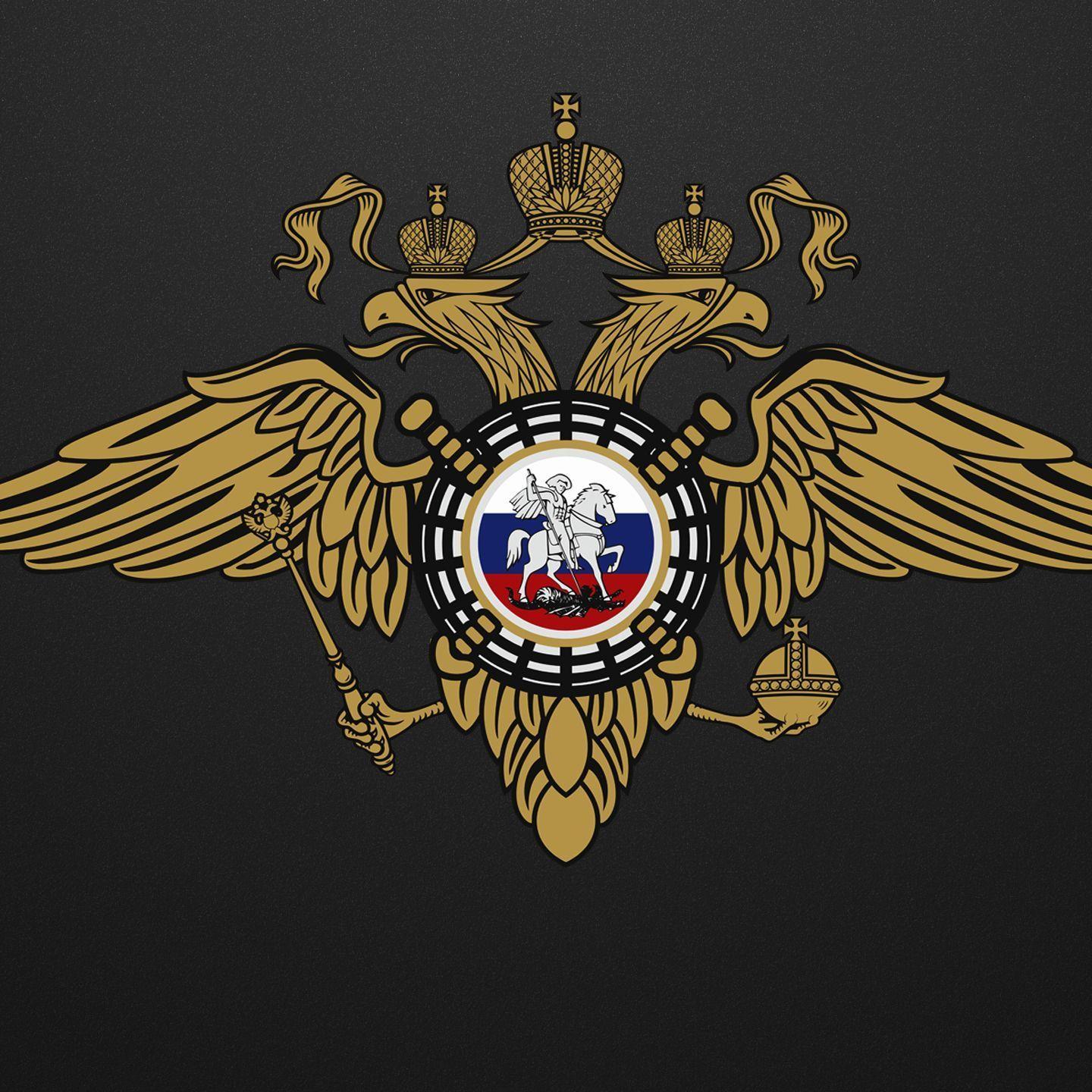 Мвд картинка