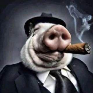 Vladnik_7007 avatar