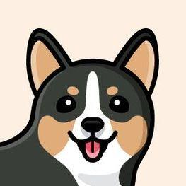 Player -CORGI avatar