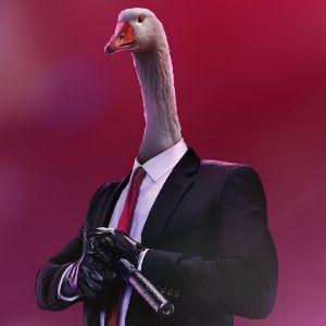 Goose_Meteor avatar