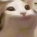 MakaFakaa FACEIT avatar