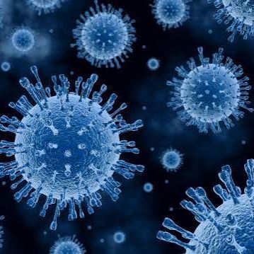 H1N1z