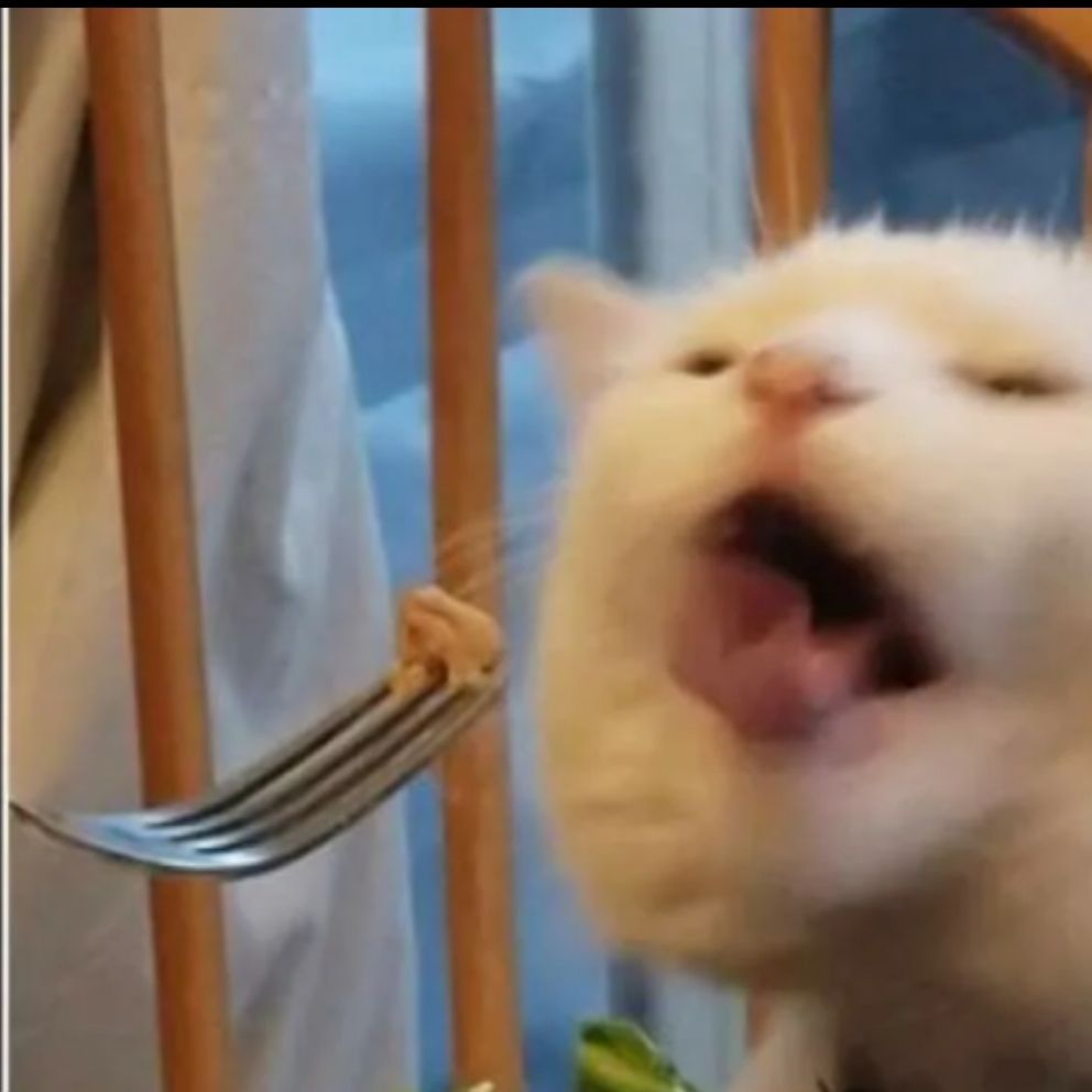 blaaloncat