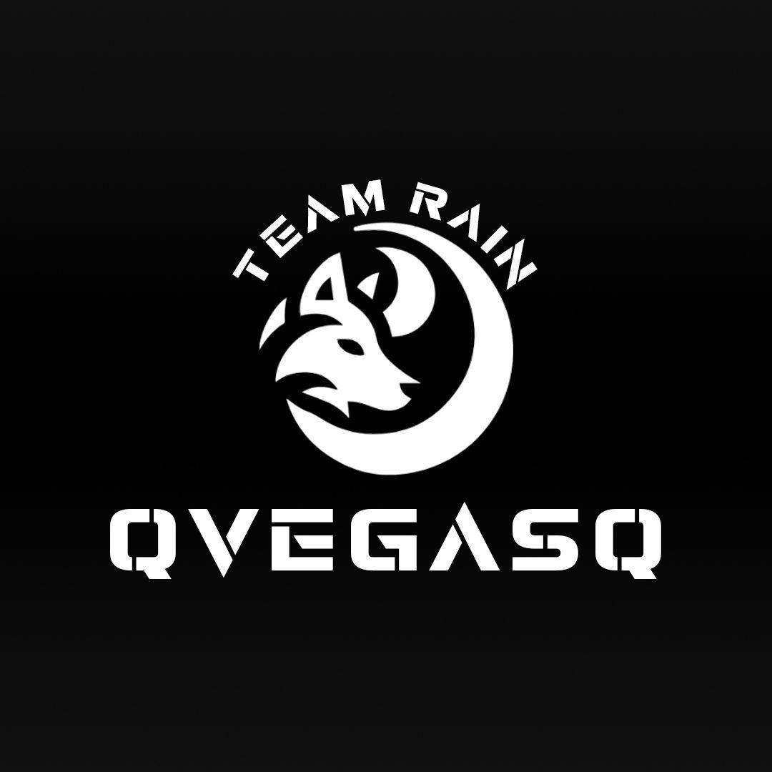 qVegasq avatar