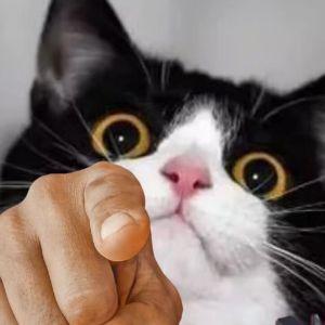 N00b-p1ayer avatar