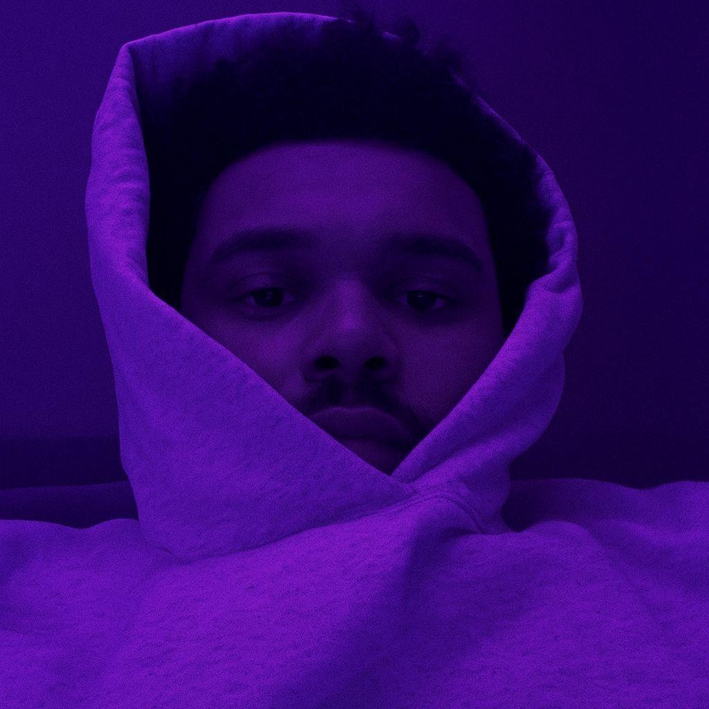 -Zaha_ avatar