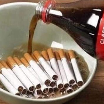 Bmate