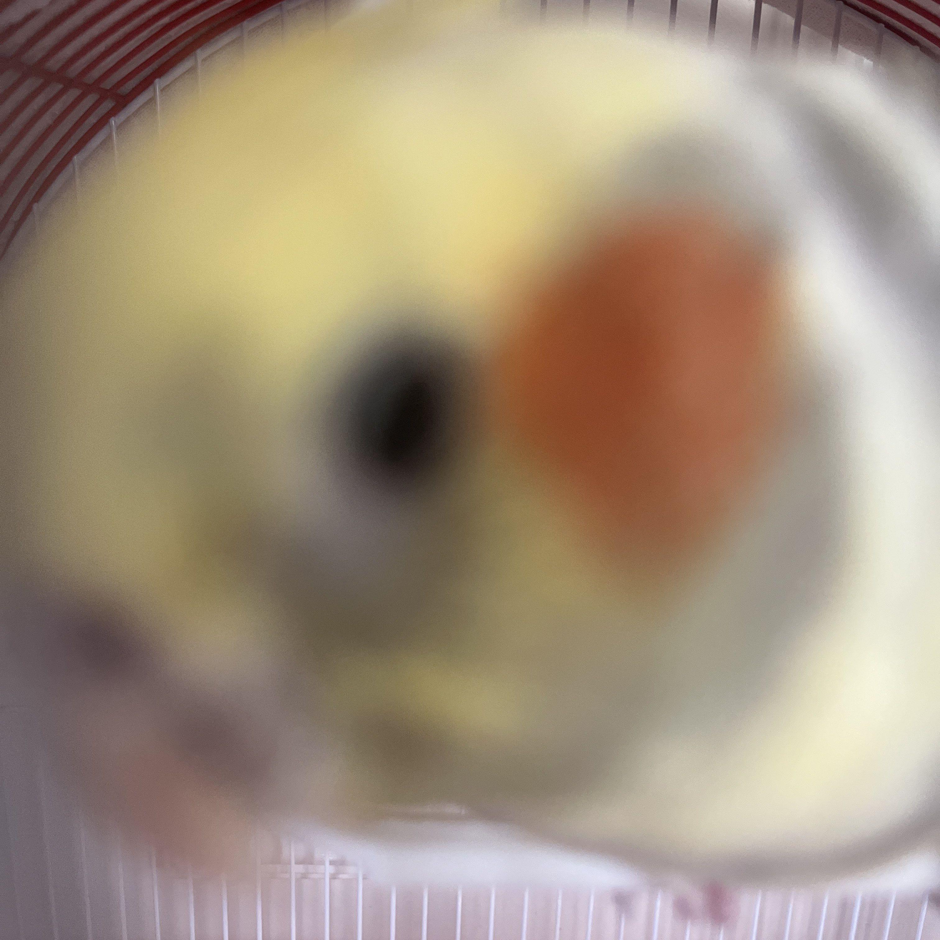 DumpyPlus1 avatar