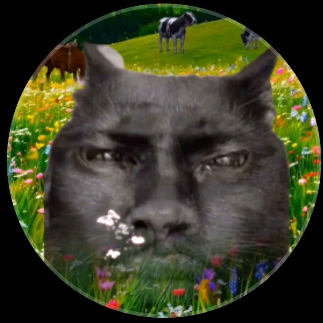 Cebula1414 avatar