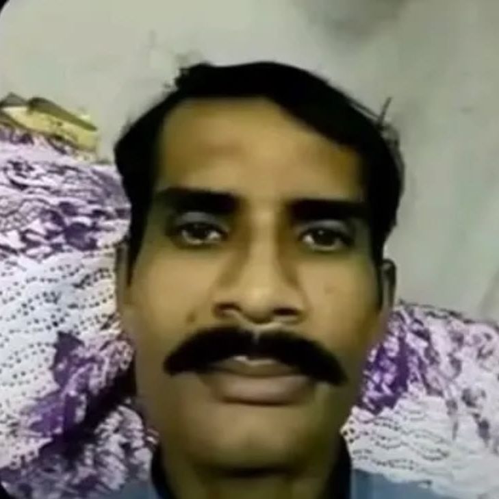 llobo