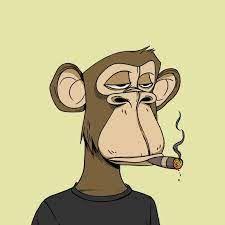 nobrainSalaz avatar
