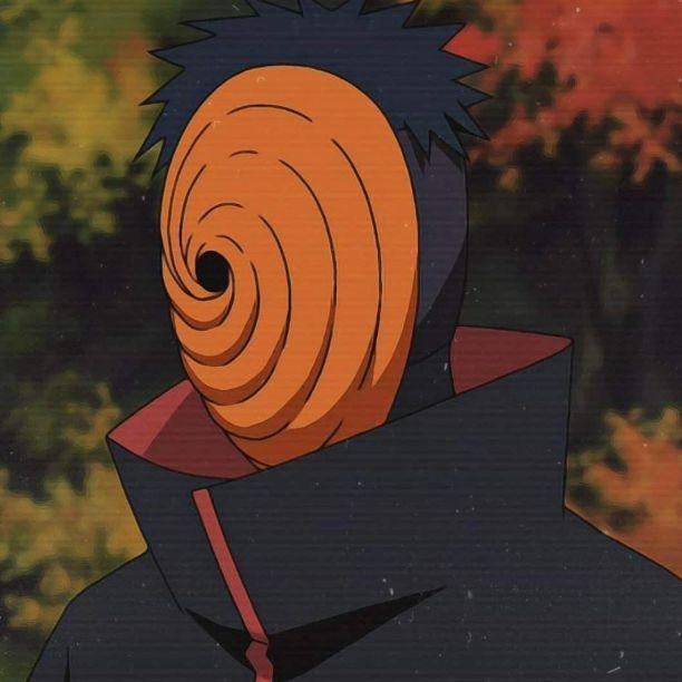 Septo_