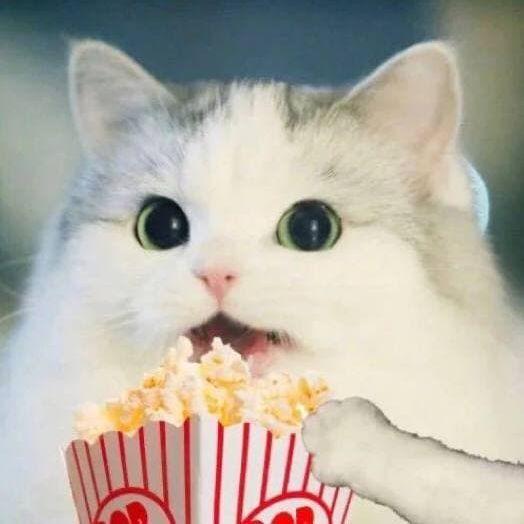 Murmur_meow