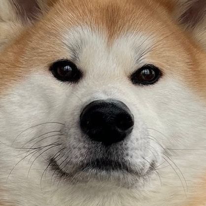 Counter Tilt