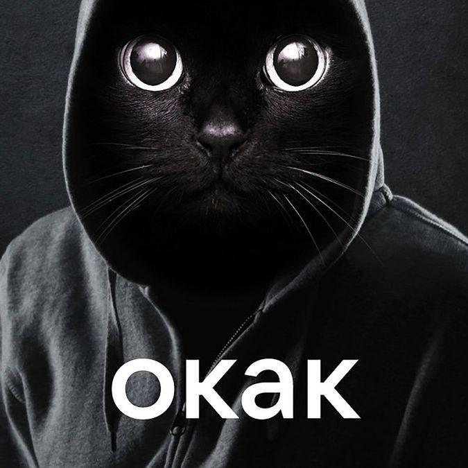 1_KAWAZAKI_1 avatar