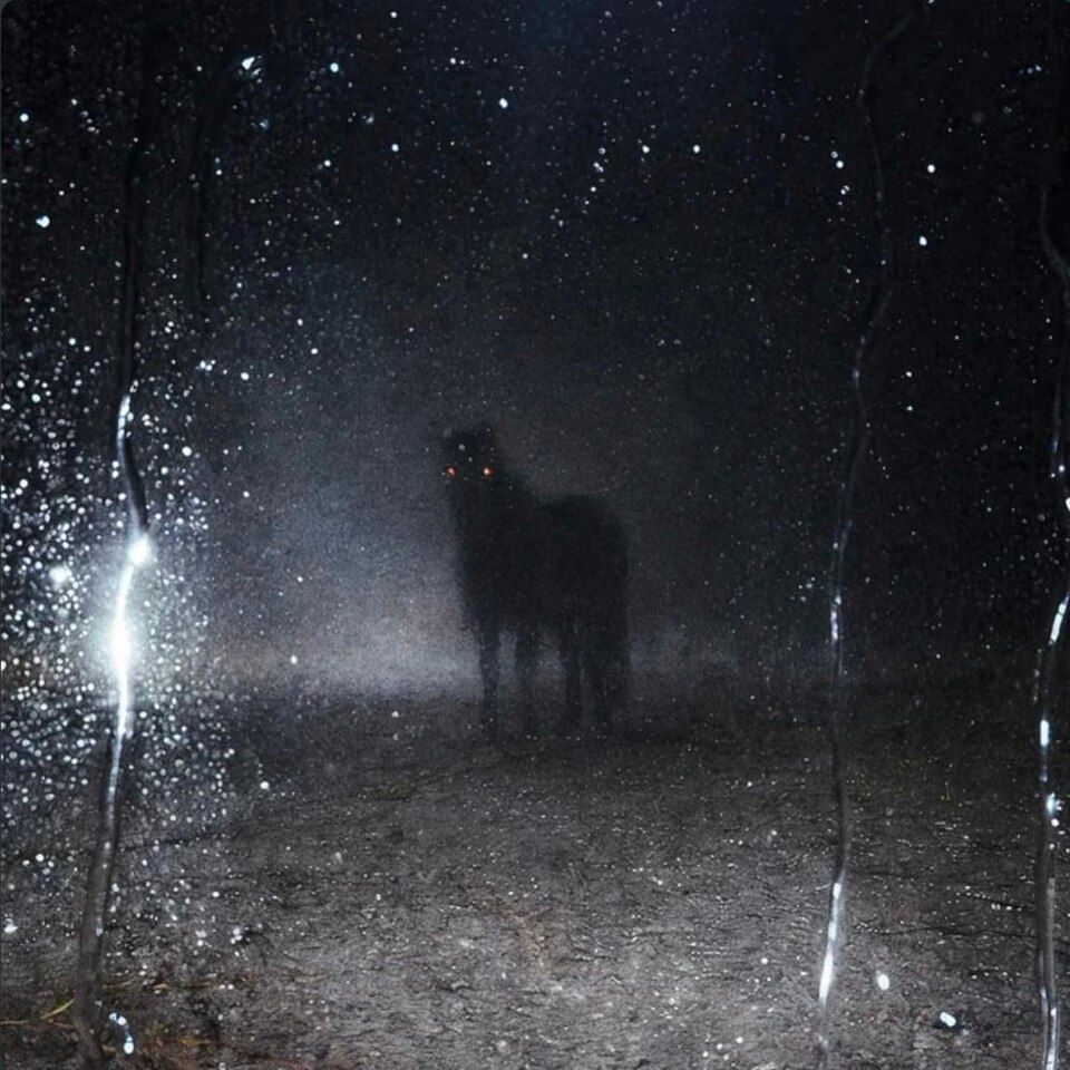 sasa123