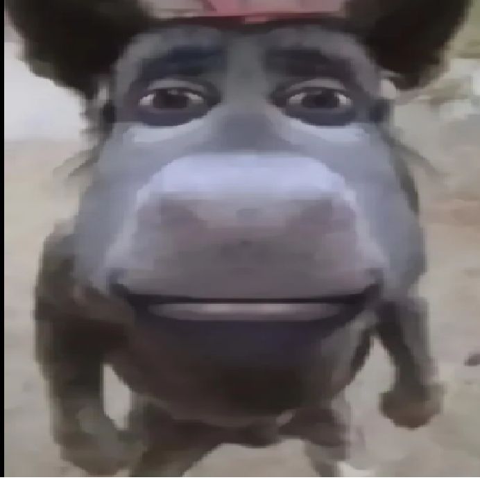 Burrokiller