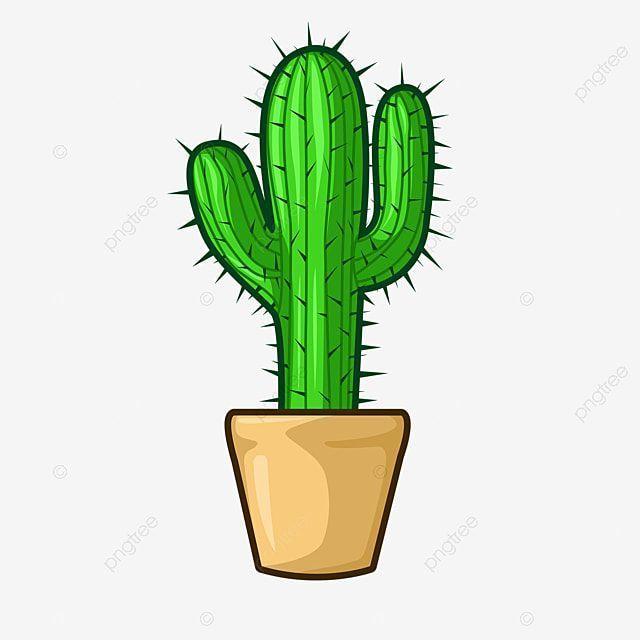 Cactus_Gucci avatar