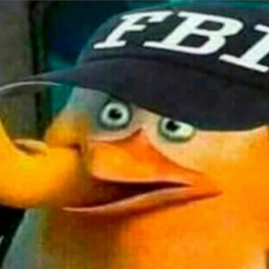 Dyra4oook avatar