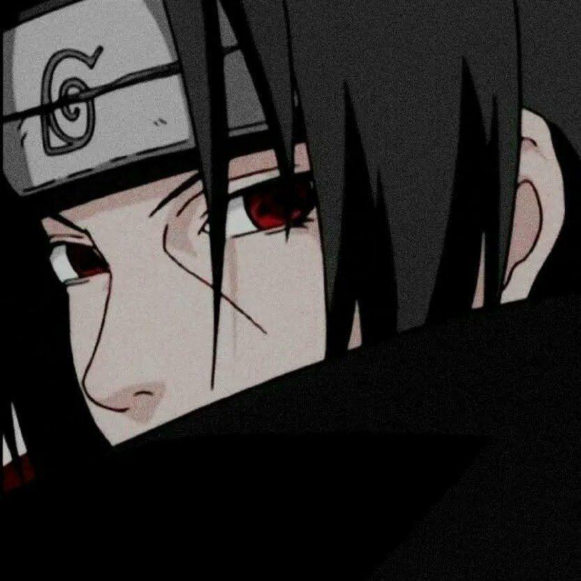 Vanyayou avatar