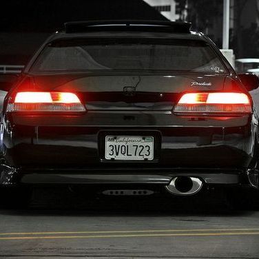 xXTurek