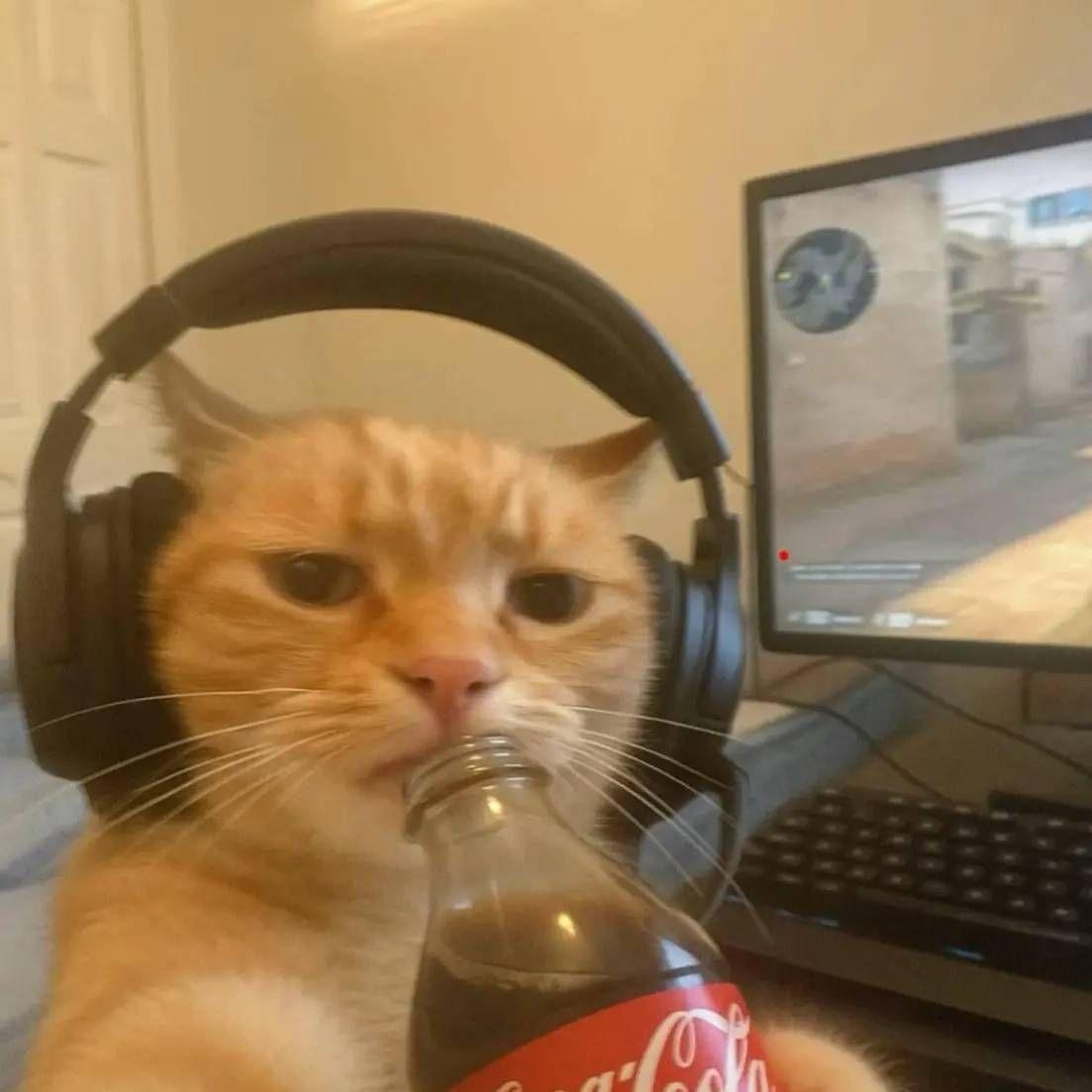 V1lmox avatar