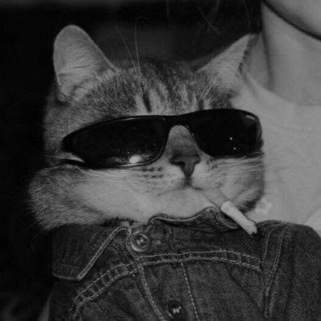 u-mad-bich avatar