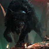 FenRiR_22 avatar