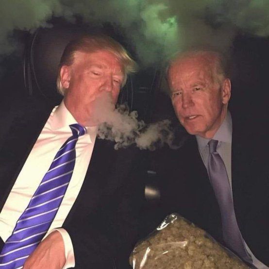 Bidens Boyz