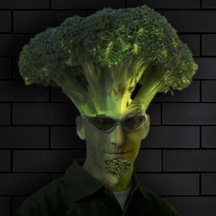 Palladin avatar