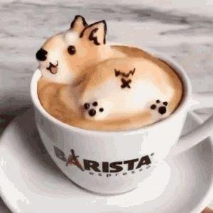 2Latte avatar