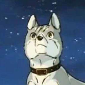 sepzuh avatar