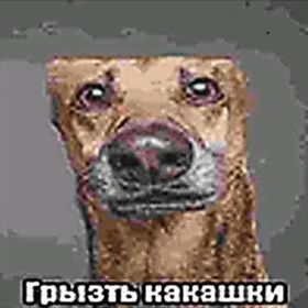 Bmah_456