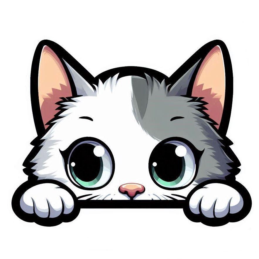 Pintoss avatar