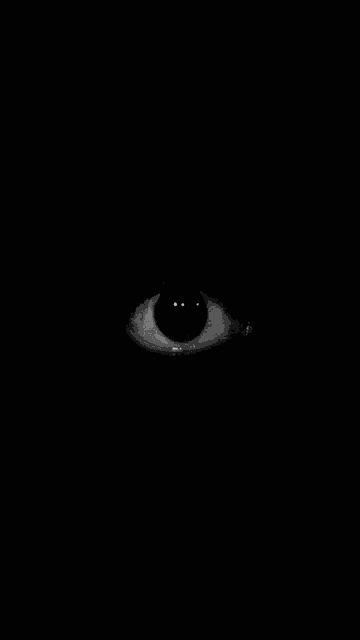 decan avatar
