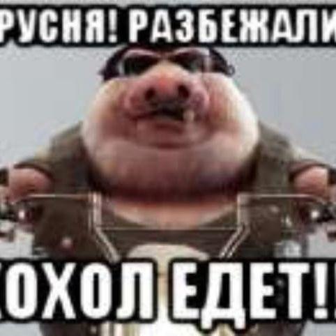 ronaldozv