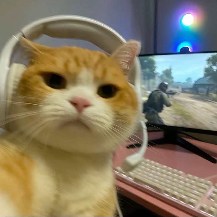 radosnygg