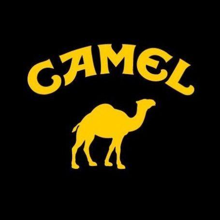 CondeDeCamel avatar