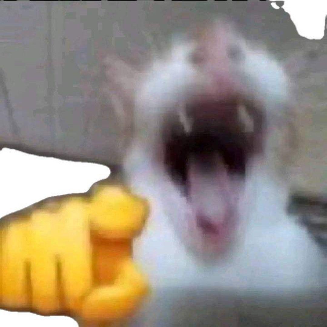 s1deak avatar