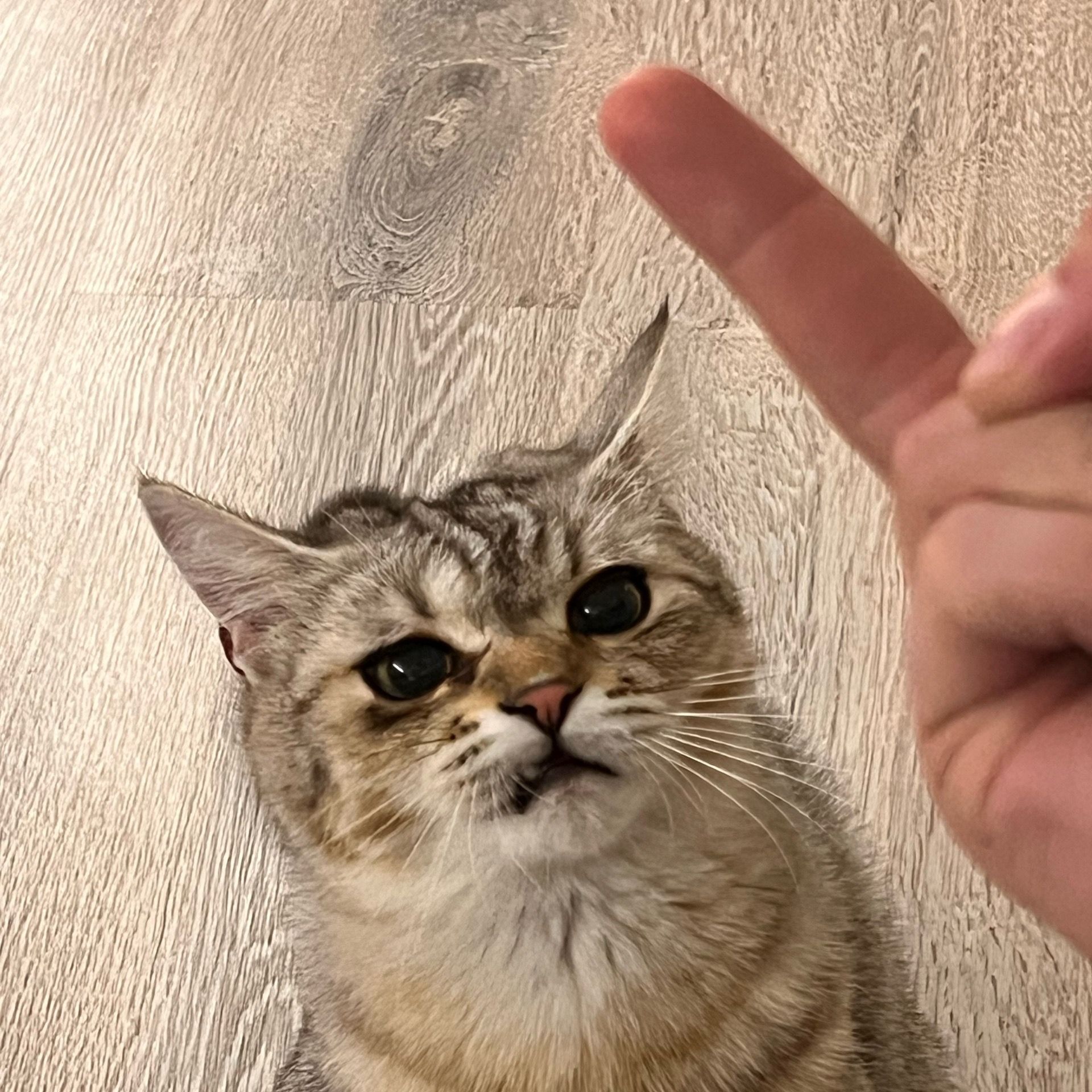 qbert4you