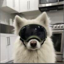 cupesa avatar