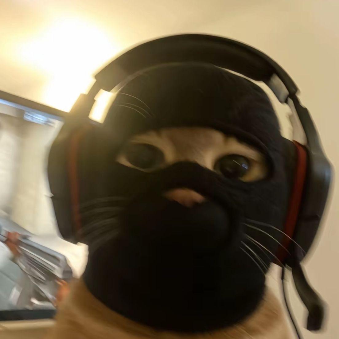 opioidy avatar