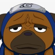 Rodemon avatar
