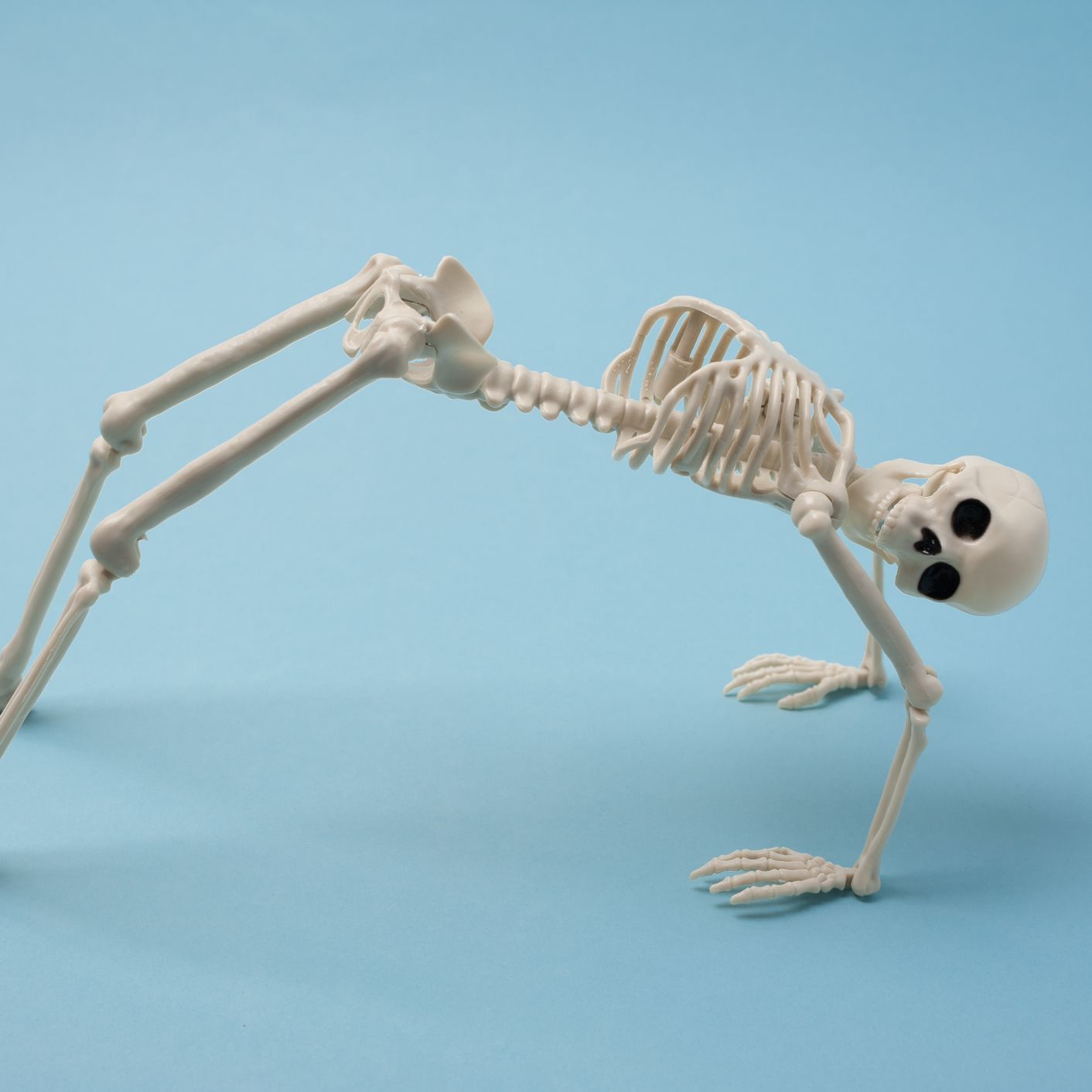 BoneZone