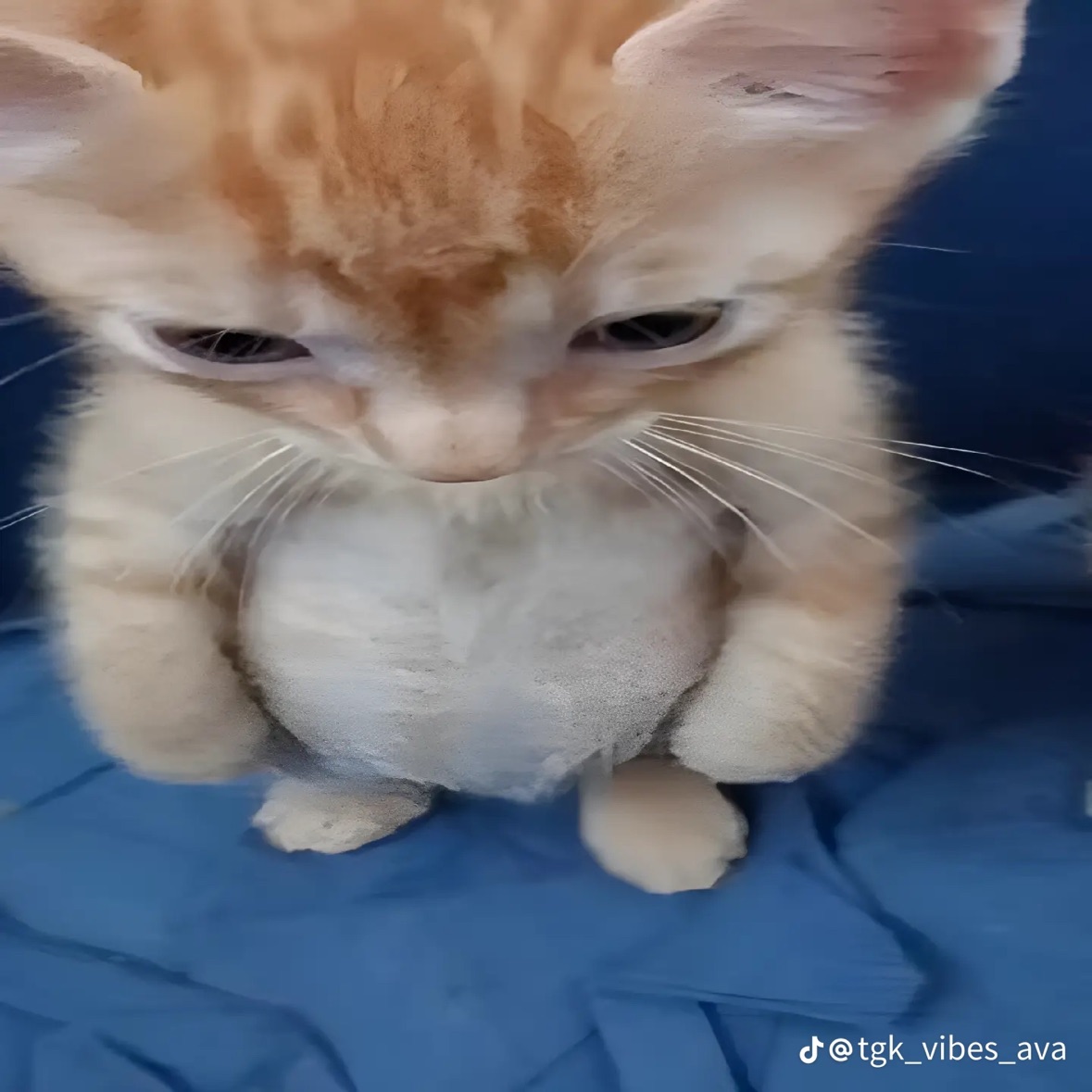 pattpattpatt