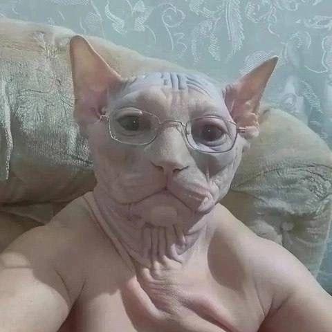 tulachkmnov avatar