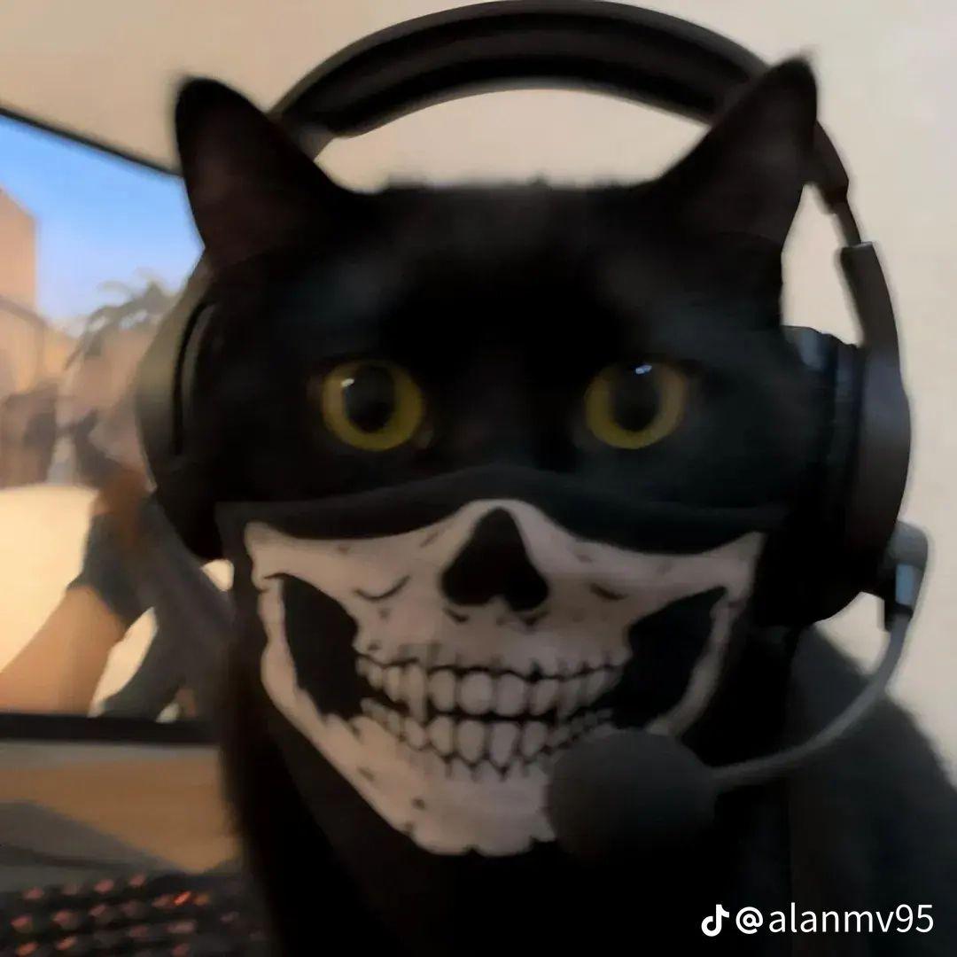 DiKeyR avatar