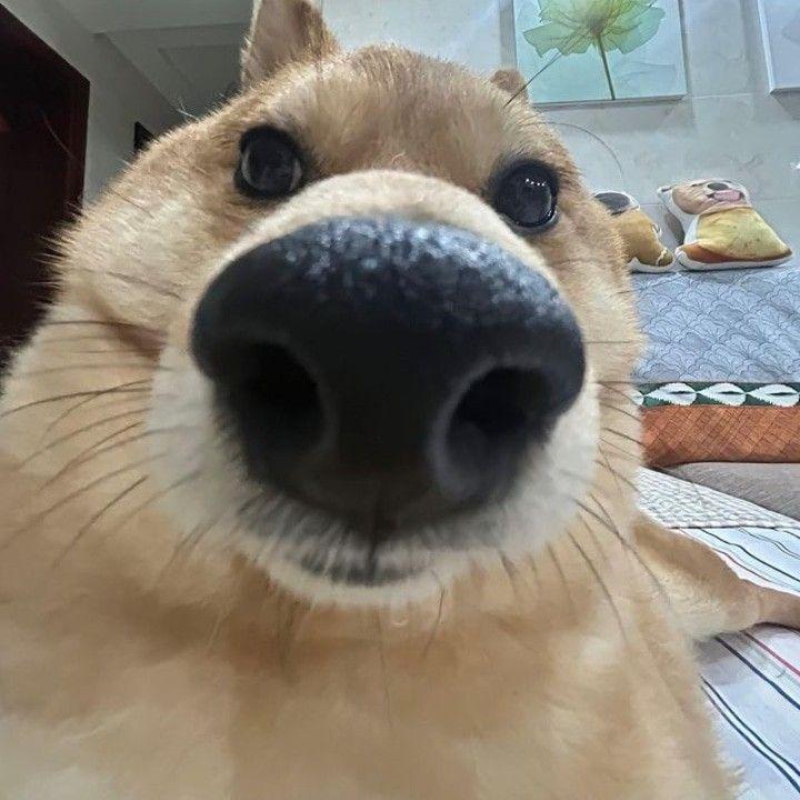 OnTop_stosix avatar